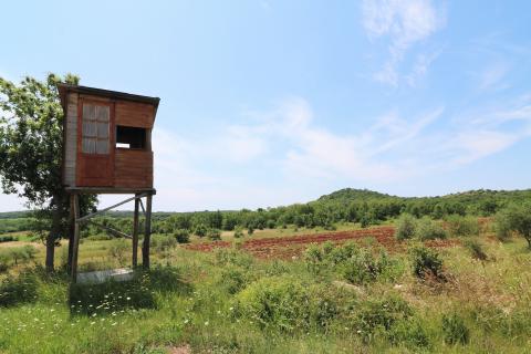 POREČ-4 h poljoprivrednog zemljišta