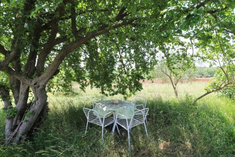 POREČ-4 h poljoprivrednog zemljišta