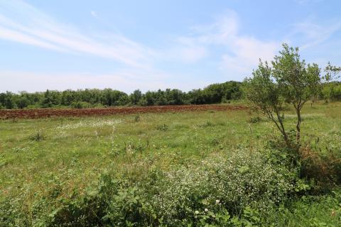 POREČ-4 h poljoprivrednog zemljišta