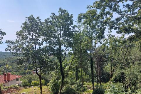 Земельный участок строительного назначения Rukavac, Matulji, 2.143m2