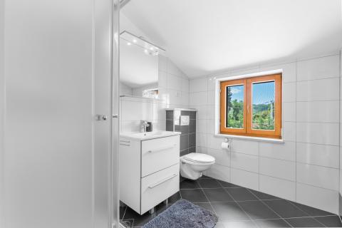 ISTRIA, PIĆAN - 3 holiday homes for 22 people 4500 m2 garden!