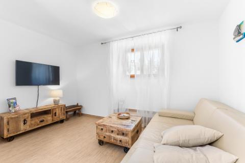 ISTRIA, PIĆAN - 3 holiday homes for 22 people 4500 m2 garden!