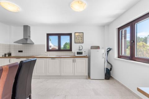 ISTRIA, PIĆAN - 3 holiday homes for 22 people 4500 m2 garden!