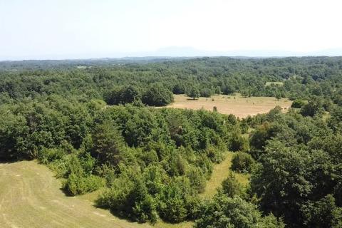 Terreno non edificabile Žminj, 59.542m2