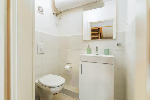 Istra,Šišan-renovirana kamena istarska kuća