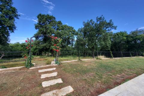 Istra, okolica Poreča, šarmantno istarsko imanje sa vilom i kućom na 9000m2