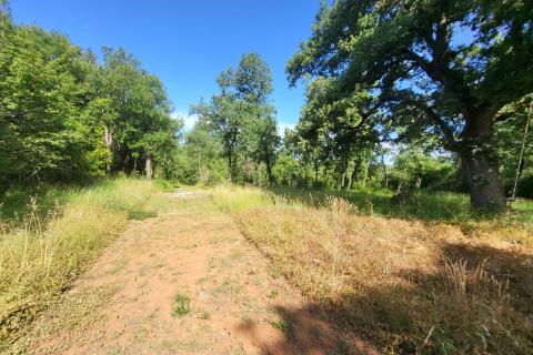 Istra, okolica Poreča, šarmantno istarsko imanje sa vilom i kućom na 9000m2
