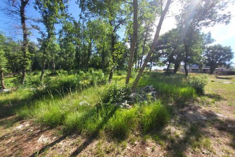 Istra, okolica Poreča, šarmantno istarsko imanje sa vilom i kućom na 9000m2