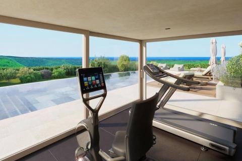 Grožnjan okolica, vila pogled more u autohtonom stilu s liftom