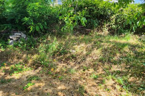 Viškovo, Marinići - kuća s 5 stanova, potencijal za Investitore