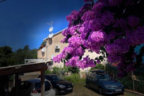 Otok Mali Lošinj,Veli Lošinj, 2S+DB,110 m2