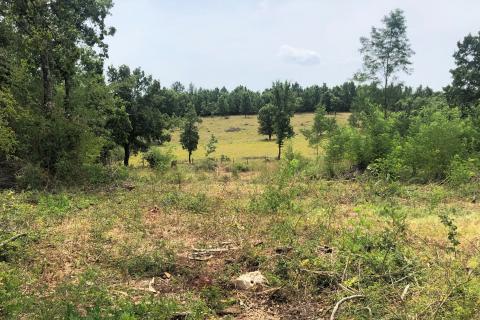 Makovci, Grožnjan, 3.654m2