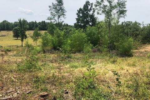 Makovci, Grožnjan, 3.654m2