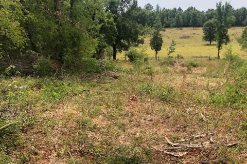 Makovci, Grožnjan, 3.654m2