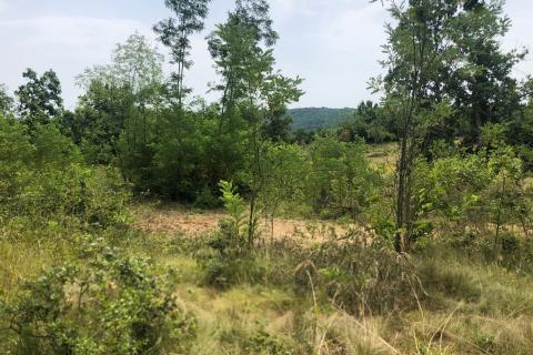 Makovci, Grožnjan, 3.654m2