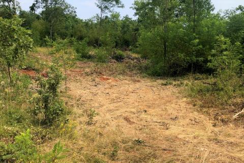 Makovci, Grožnjan, 3.654m2