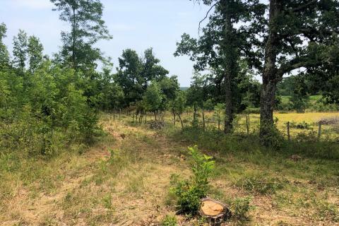 Makovci, Grožnjan, 3.654m2