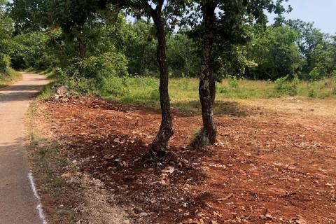 Makovci, Grožnjan, 1.186m2