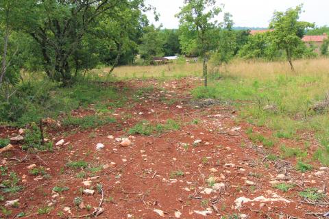 Makovci, Grožnjan, 1.186m2