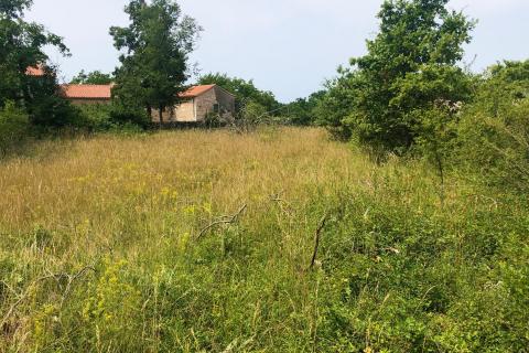 Makovci, Grožnjan, 1.186m2