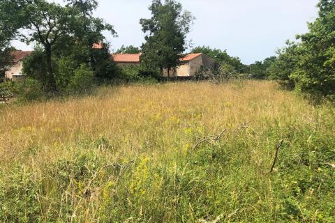 Makovci, Grožnjan, 1.000m2