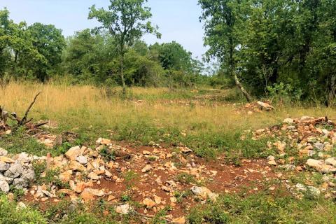 Makovci, Grožnjan, 1.000m2