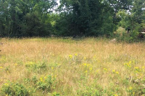 Makovci, Grožnjan, 757m2