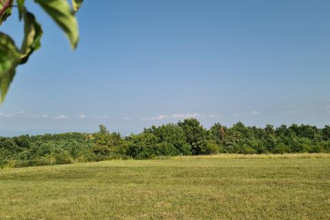 Vižinada: Građevinsko zemljište vrlo otvorenog pogleda