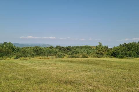 Vižinada: Građevinsko zemljište vrlo otvorenog pogleda