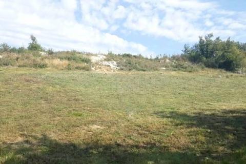 Terreno edificabile Momjan, Buje, 1.001m2