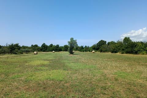 Istra, Juršići, Svetvičenat