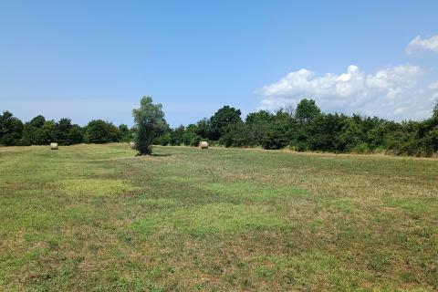 Istra, Juršići, Svetvičenat