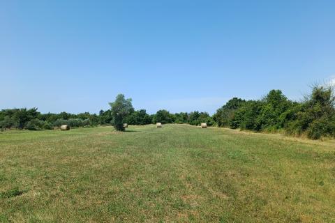 Istra, Juršići, Svetvičenat