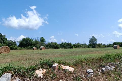 Istra, Juršići, Svetvičenat