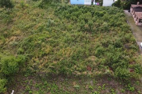 Istra , Novigrad - Građevinsko zemljište za izgradnju 5 stanova