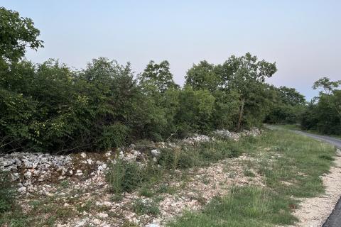 Istra,Fiipana,građevinsko-poljoprivredno zemljište