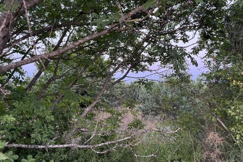 Istra,Fiipana,građevinsko-poljoprivredno zemljište