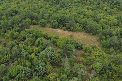 Non-structural plot Radmani, Poreč, 4.756m2