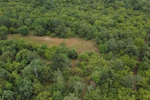 Non-structural plot Radmani, Poreč, 4.756m2