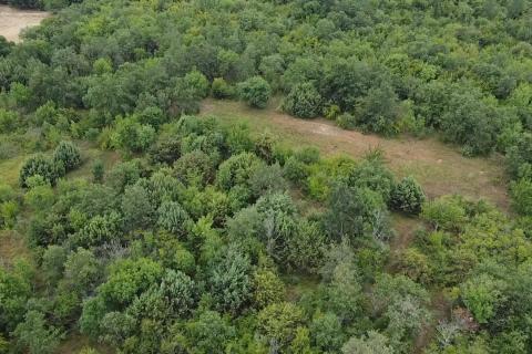 Non-structural plot Radmani, Poreč, 4.756m2