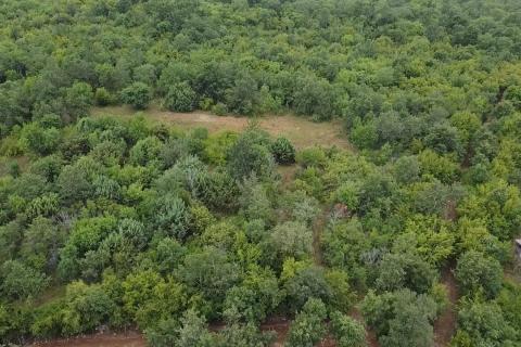 Non-structural plot Radmani, Poreč, 4.756m2