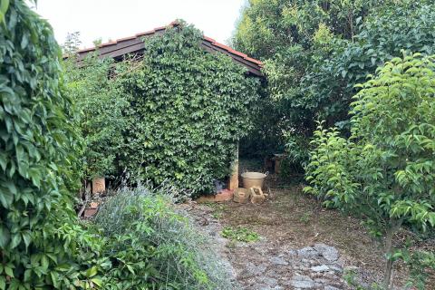 Istra,Vodnjan,teren sa uctranim starim objektom