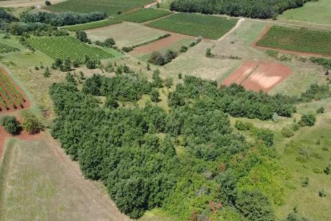 Terreno non edificabile Vižinada, 10.286m2