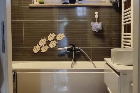 Velika Mlaka, kuća 270 m2