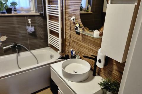 Velika Mlaka, kuća 270 m2