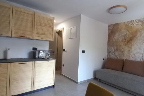 Istra,Pula centar, nova, luksuzna kuća s 3 apartmana
