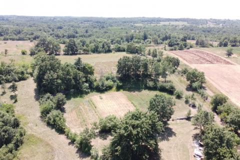 Stavbno zemljišče Kanfanar, 7.380m2