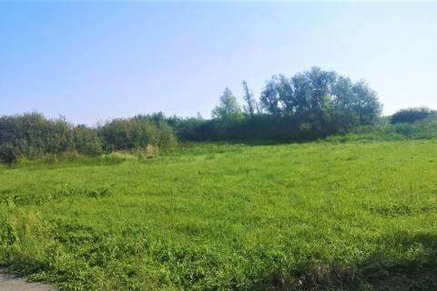 Non-structural plot Kršete, Buje, 6.331m2