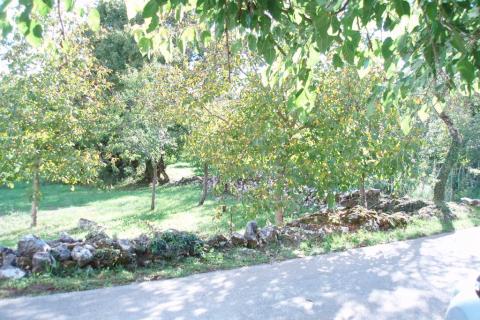 Hiša Lindar, Pazin - Okolica, 64m2