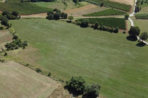 Niet bouwgrond Vižinada, 11.290m2